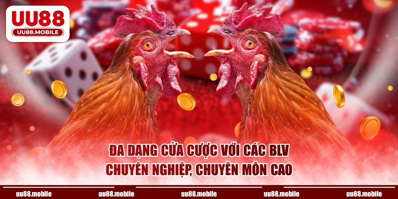 Đa dạng cửa cược với các BLV chuyên nghiệp, chuyên môn cao