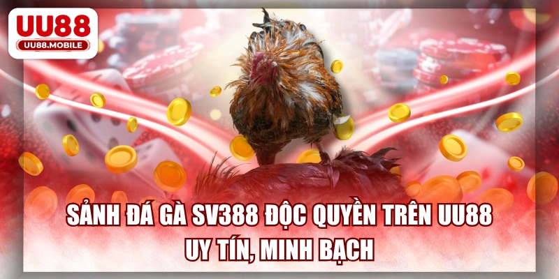 Sảnh Đá Gà SV388 Độc Quyền Trên UU88 Uy Tín, Minh Bạch