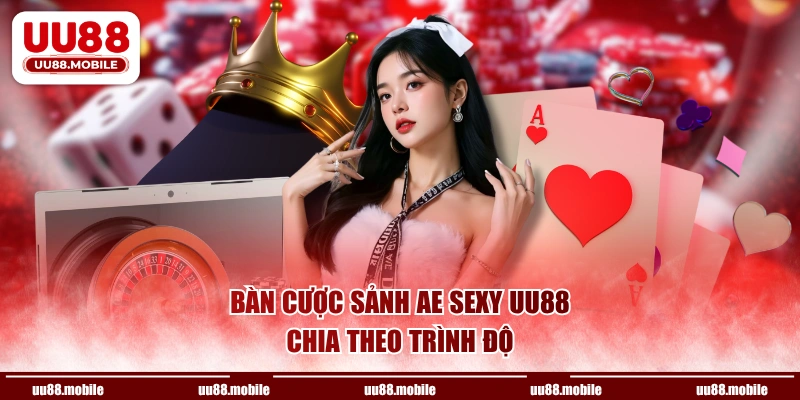 Bàn cược sảnh AE sexy UU88 chia theo trình độ